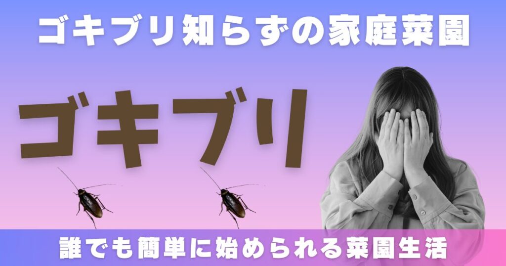 ベランダ家庭菜園のゴキブリ・虫対策はコレで終止符！初心者におすすめな最強野菜と超簡単な室内栽培3選